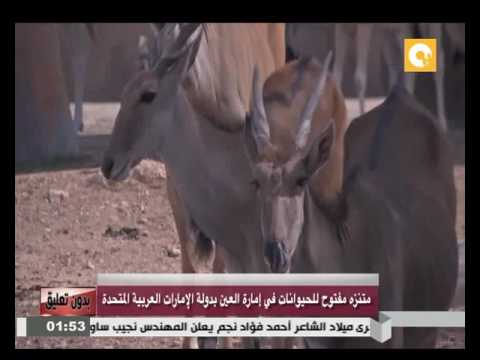 بالفيديو منتزة مفتوح للحيوانات في إمارة العين في الإمارات العربية المتحدة