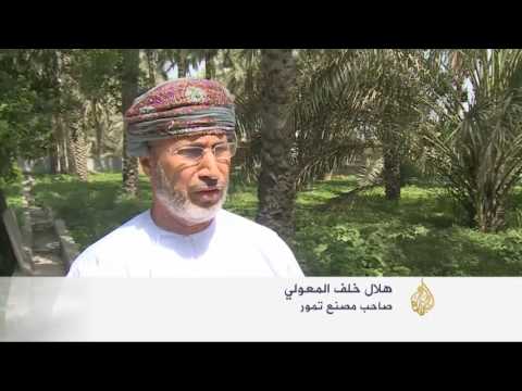 شاهد 7 ملايين نخلة ونقص في التمور في سلطنة عمان