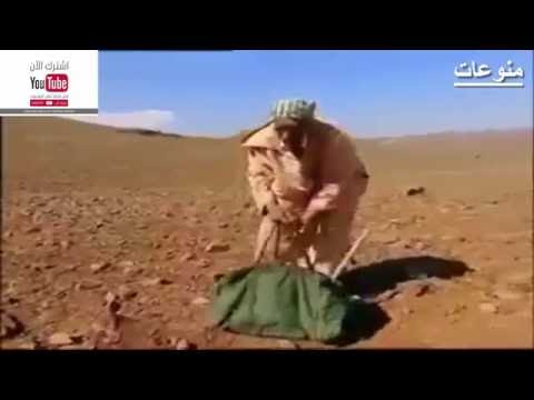 شاهد العيساوي المغربي الذي حيّر قناة ناشيونال جيوغرافي