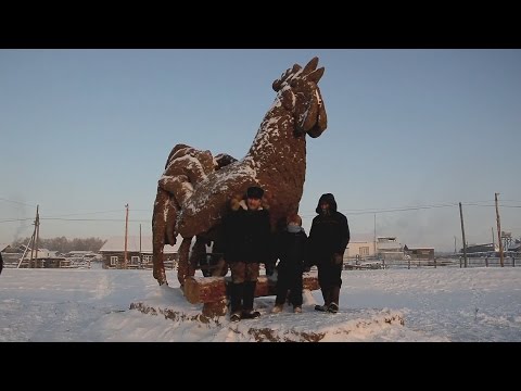 شاهد فنان يصنع ديكا من روث الماشية في روسيا