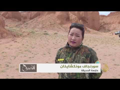 إطلاق متحف للديناصورات في منغوليا