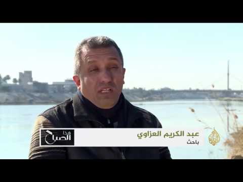 بالفيديو  جامعة المستنصرية تواصل تألقها العلمي