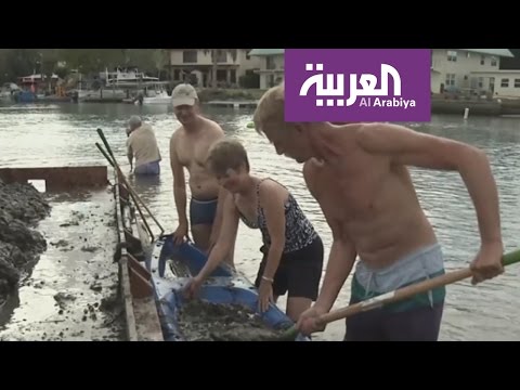 شاهد طحالب فلوريدا تقتل 100 ألف مخلوق