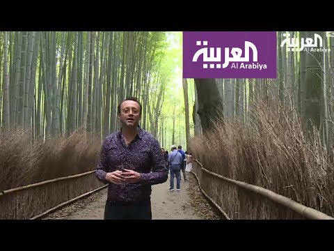 شاهد المكان المفضل لنزهة نبلاء اليابان