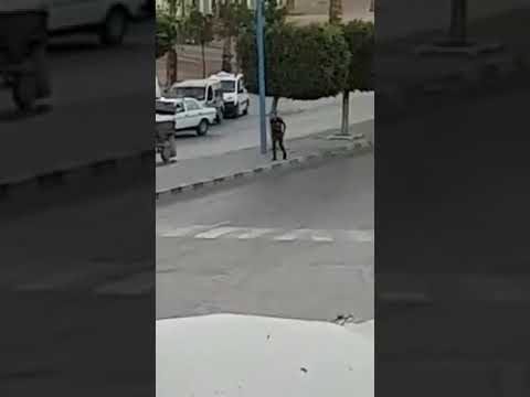 شاهد لص يسرق سائقًا من داخل سيارته بطريقة صادمة