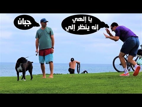 شاهد شاهد رد فعل الفتيات علي مقلب الكلب المسكين