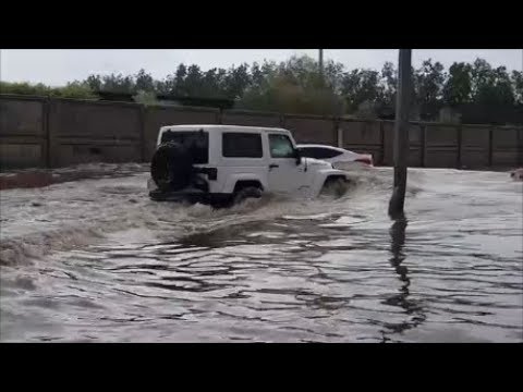 شاهد لقطات كارثية للسيارات في فيضانات جدة