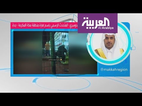 تفاصيل هجوم أسد على طفلة وهذا قرار السلطات السعودية