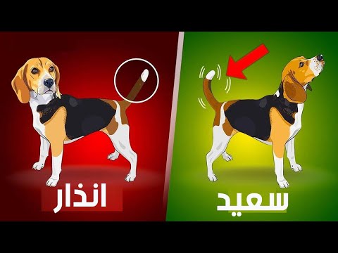 شاهدأشياء يحاول كلبك  الخاص إخبارك بها