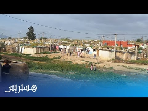 الحشرات تهاجم أكواخ قصديرية