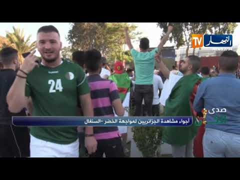 شاهد فرحة هستيرية لأنصار المنتخب الجزائري بهدف بلايلي