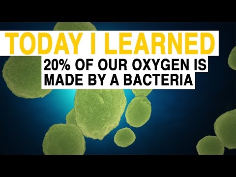 بالفيديو ناشيونال جيوجرافيك تُؤكد أنَّ 20 من أكسجين الكوكب تنتجه البكتيريا