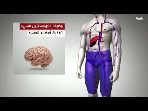 بالفيديو الكوليسترول الجيد لا يقي من النوبات القلبية